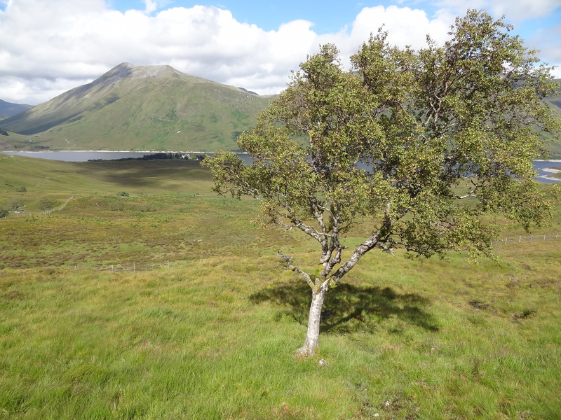 A'Chralaig from the old Cluanie road