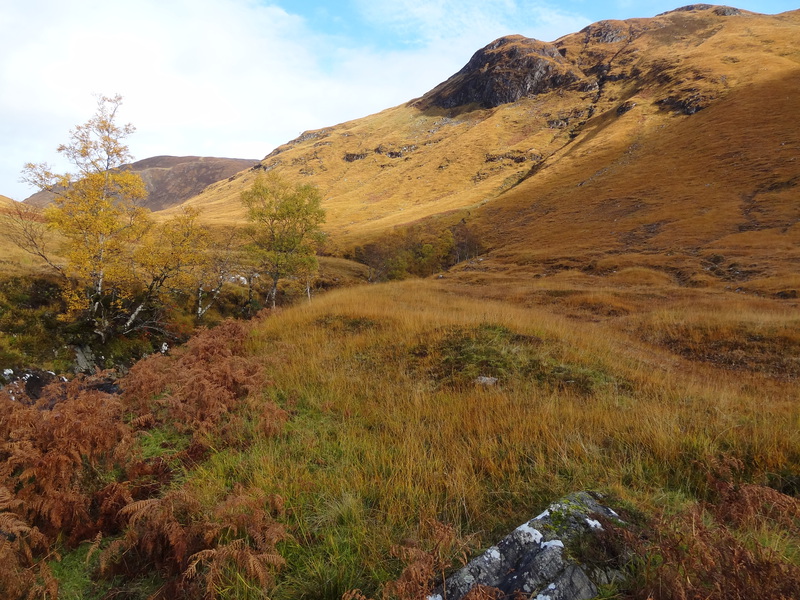 In upper Glen Elchaig