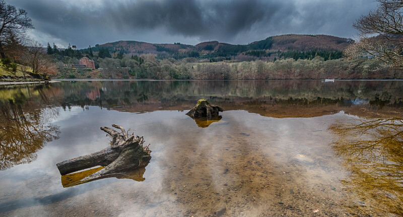 Meditation on Loch Faskally, Pitlochry