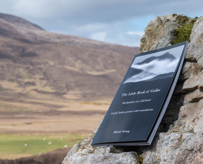 Little Book of Gaiku