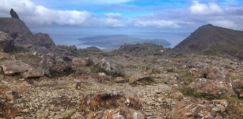 Raven on the south summit of Blaven