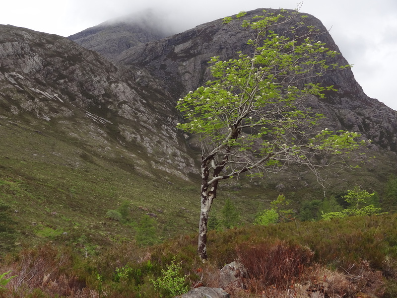 Fuar Tholl from the path